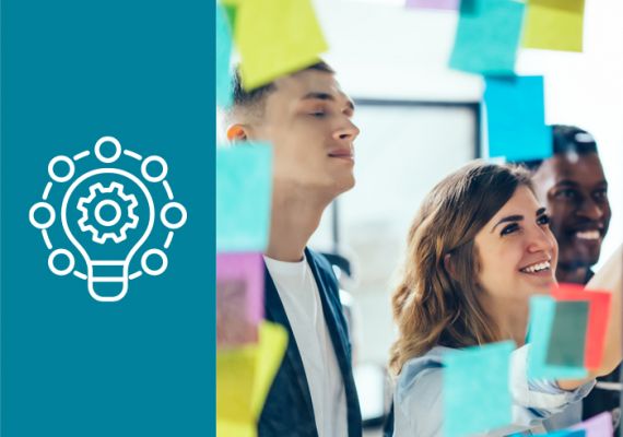 Knowledge and competences required on the labour market