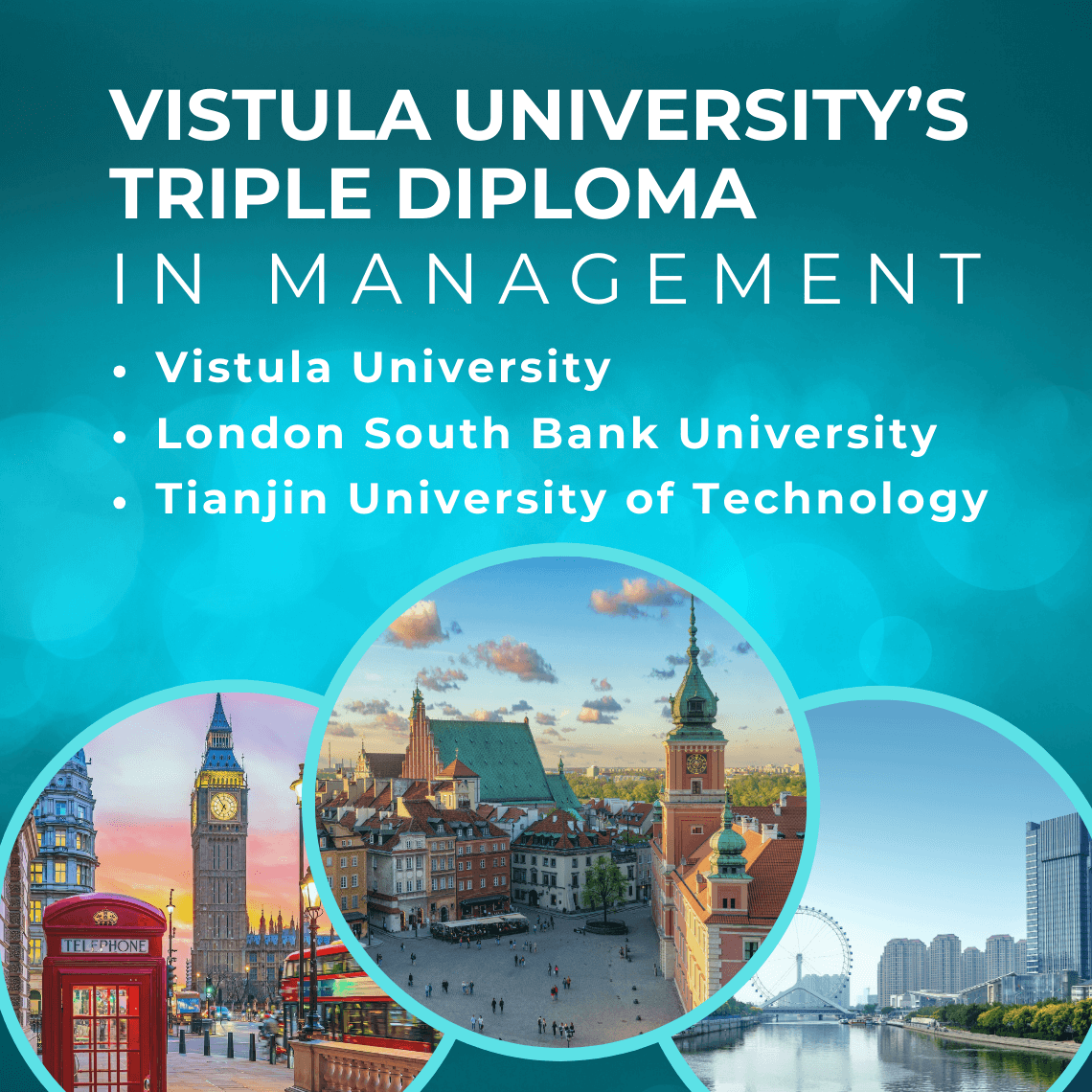 Image for The Triple Diploma in Management