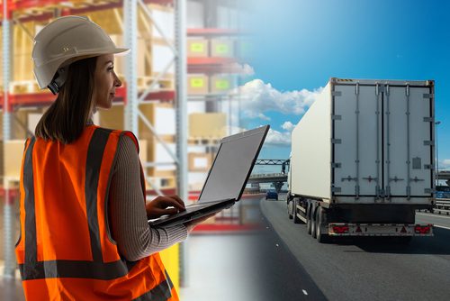 Logistyka - magazyn i transport