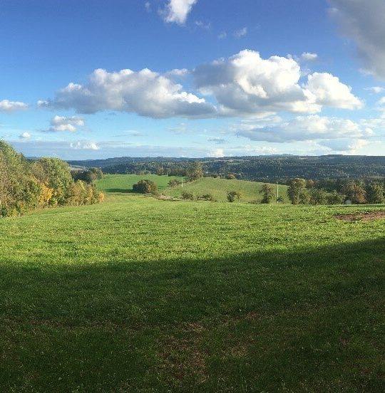 Karyna Myshovska, Germany